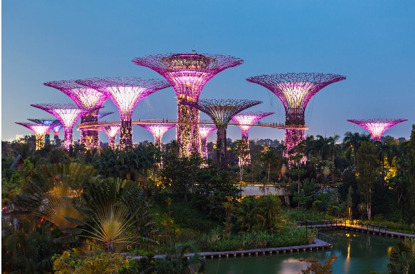 Planning a Trip to Singapore 2025: Your Ultimate Travel Guide